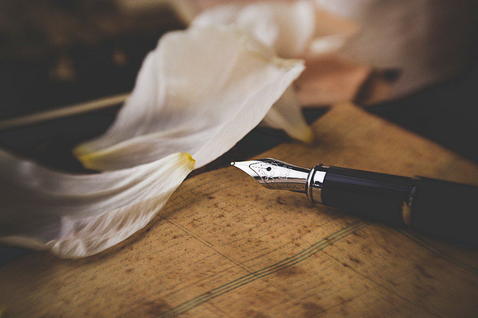 Chelsea Nicole Writes